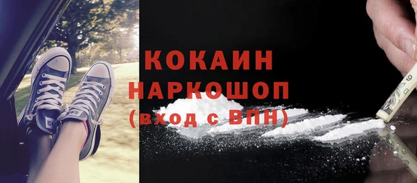 соль ск Каменногорск