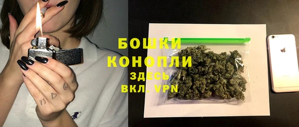 хмурый Касимов