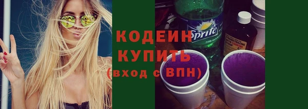 соль ск Каменногорск