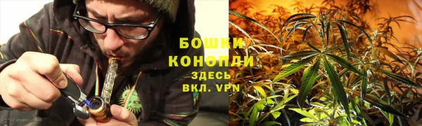 хмурый Касимов