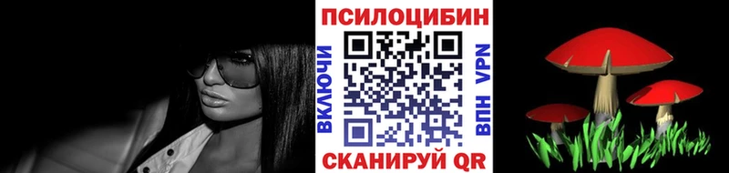Псилоцибиновые грибы Psilocybe  цены наркотик  shop какой сайт  Лысьва 
